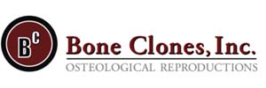 bone-clones